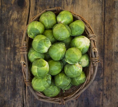 Brussels Sprouts Precoce de Fontenay